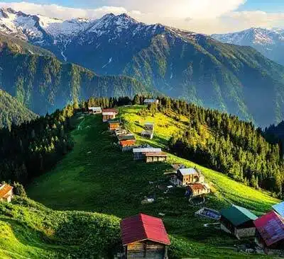 Pokut Turu